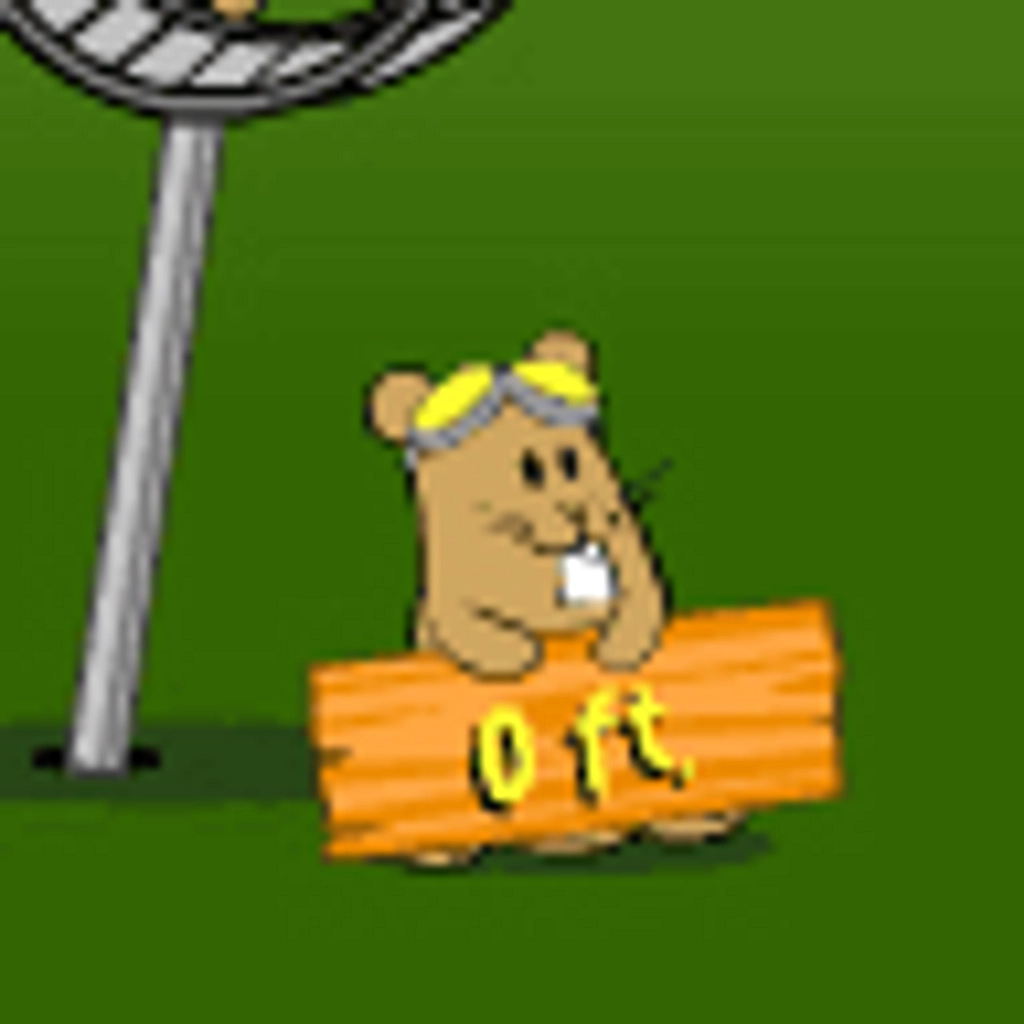 Hamster Launch - Online Game