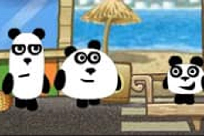 3 Pandas in Brazil